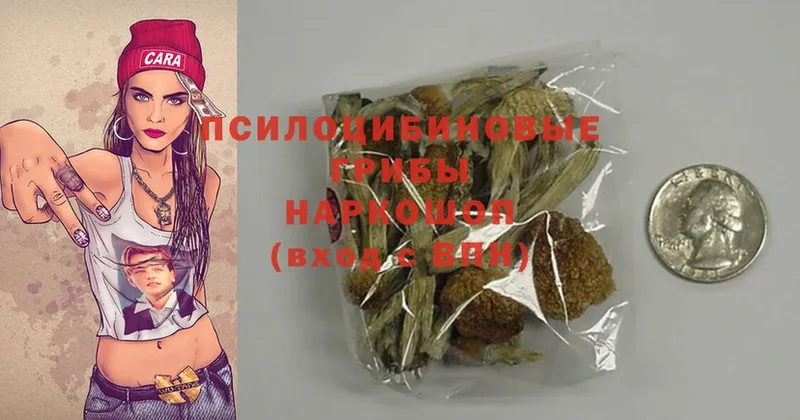 Псилоцибиновые грибы Magic Shrooms  Ирбит 